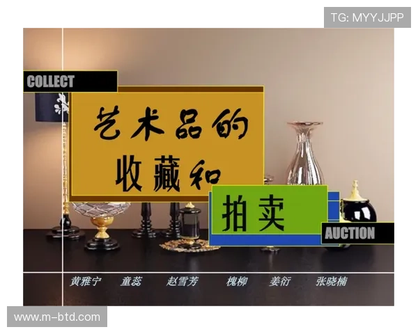 色碟的多样选择与鉴赏指南，提升你的收藏品味